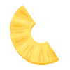Slice